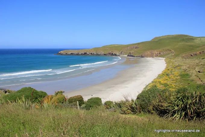 Bucht in der Otago Halbinsel