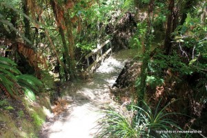 Great Walk: im Abel Tasman NP