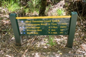 Great Walk: im Abel Tasman NP