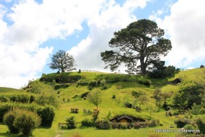 Hobbingen / Hobbiton