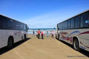 Busse am 90 Mile Beach