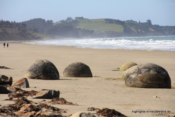 Moeraki Boulders