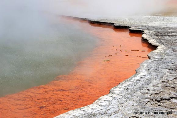 Champagne Pool in Wai-o-Tapu