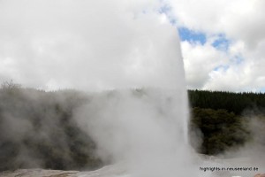 Lady Knox Geysir